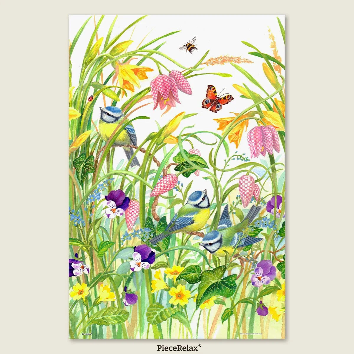 U1084
Claire Comerford -
Gentle Spring Breeze
